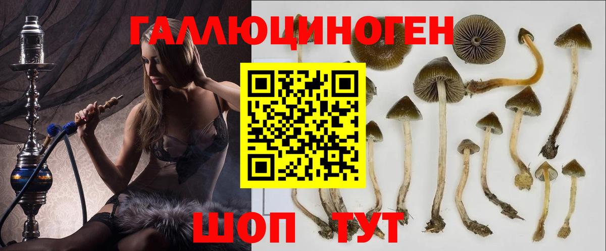 Псилоцибиновые грибы Magic Shrooms  Вход с VPN  Галлюциногенные грибы ЛСД  Сызрань 